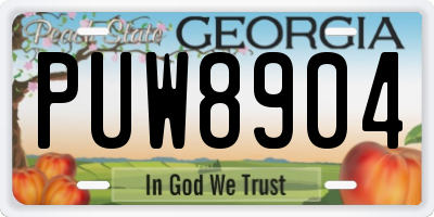 GA license plate PUW8904