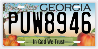 GA license plate PUW8946