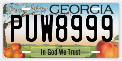 GA license plate PUW8999
