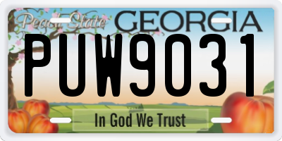GA license plate PUW9031