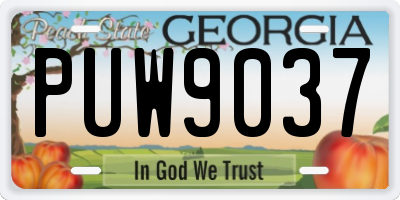 GA license plate PUW9037