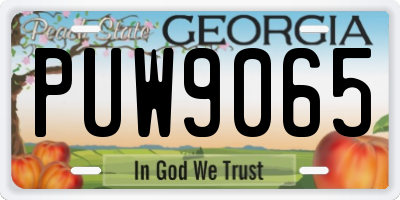 GA license plate PUW9065