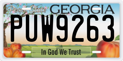 GA license plate PUW9263