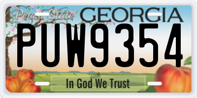 GA license plate PUW9354