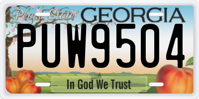 GA license plate PUW9504