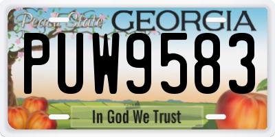 GA license plate PUW9583