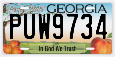 GA license plate PUW9734