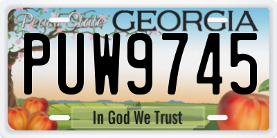 GA license plate PUW9745