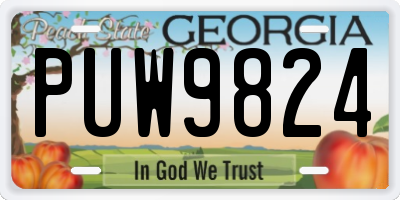 GA license plate PUW9824