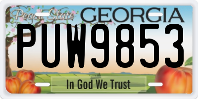 GA license plate PUW9853