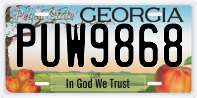GA license plate PUW9868
