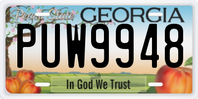 GA license plate PUW9948