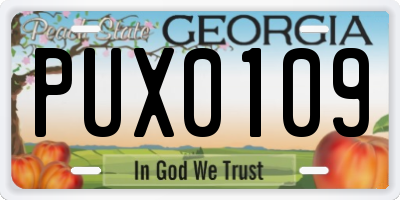 GA license plate PUX0109
