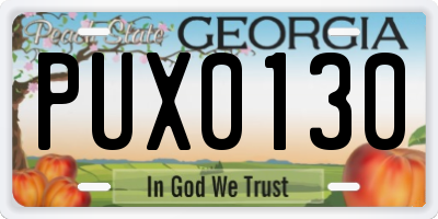 GA license plate PUX0130