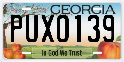 GA license plate PUX0139