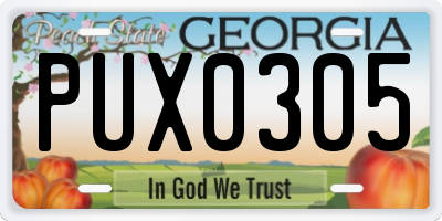 GA license plate PUX0305