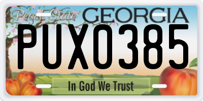 GA license plate PUX0385