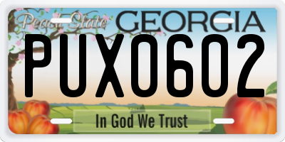 GA license plate PUX0602