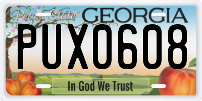 GA license plate PUX0608