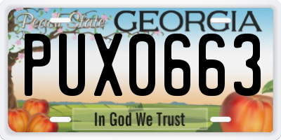 GA license plate PUX0663
