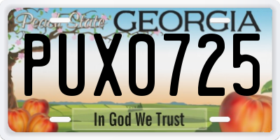 GA license plate PUX0725