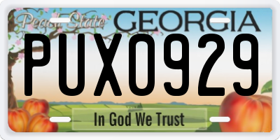 GA license plate PUX0929