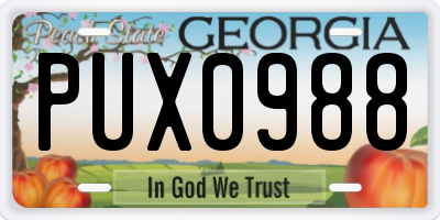 GA license plate PUX0988