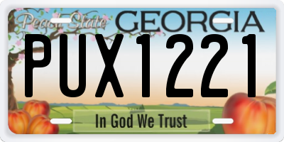 GA license plate PUX1221