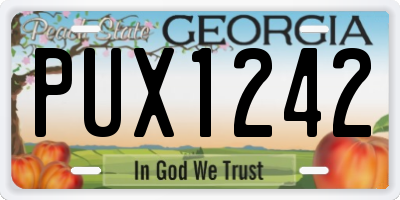 GA license plate PUX1242