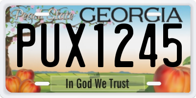GA license plate PUX1245