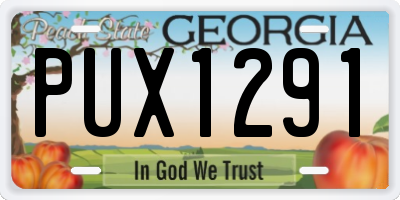 GA license plate PUX1291