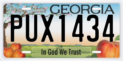 GA license plate PUX1434