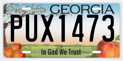GA license plate PUX1473