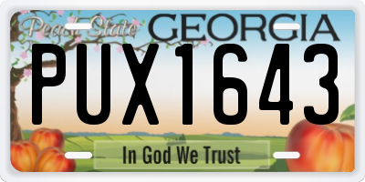 GA license plate PUX1643