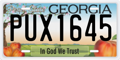 GA license plate PUX1645