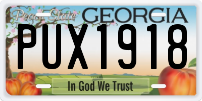 GA license plate PUX1918
