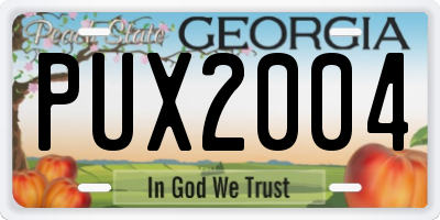 GA license plate PUX2004
