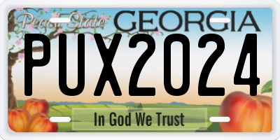 GA license plate PUX2024