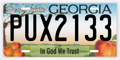 GA license plate PUX2133