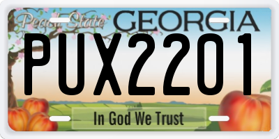 GA license plate PUX2201