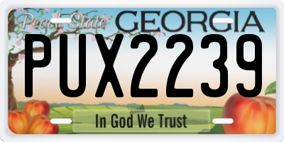 GA license plate PUX2239