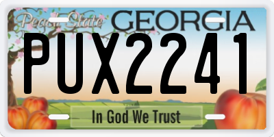 GA license plate PUX2241