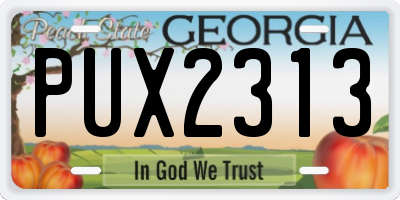 GA license plate PUX2313