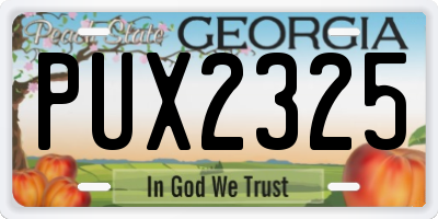 GA license plate PUX2325