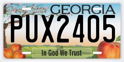 GA license plate PUX2405