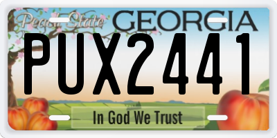 GA license plate PUX2441