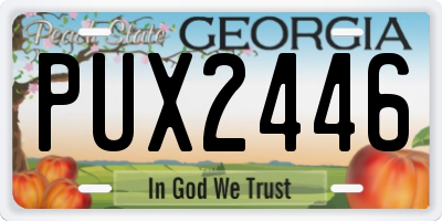 GA license plate PUX2446