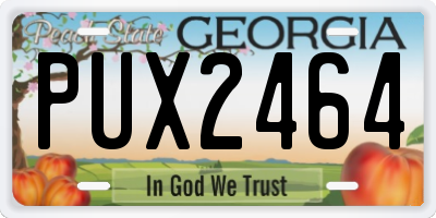 GA license plate PUX2464