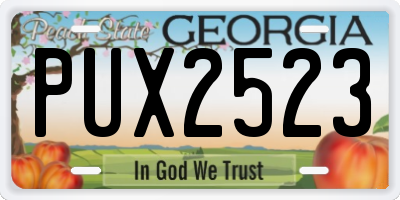 GA license plate PUX2523