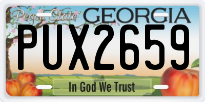 GA license plate PUX2659